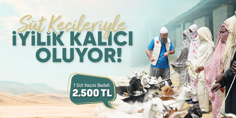 Süt Keçileriyle İyilik Kalıcı Oluyor